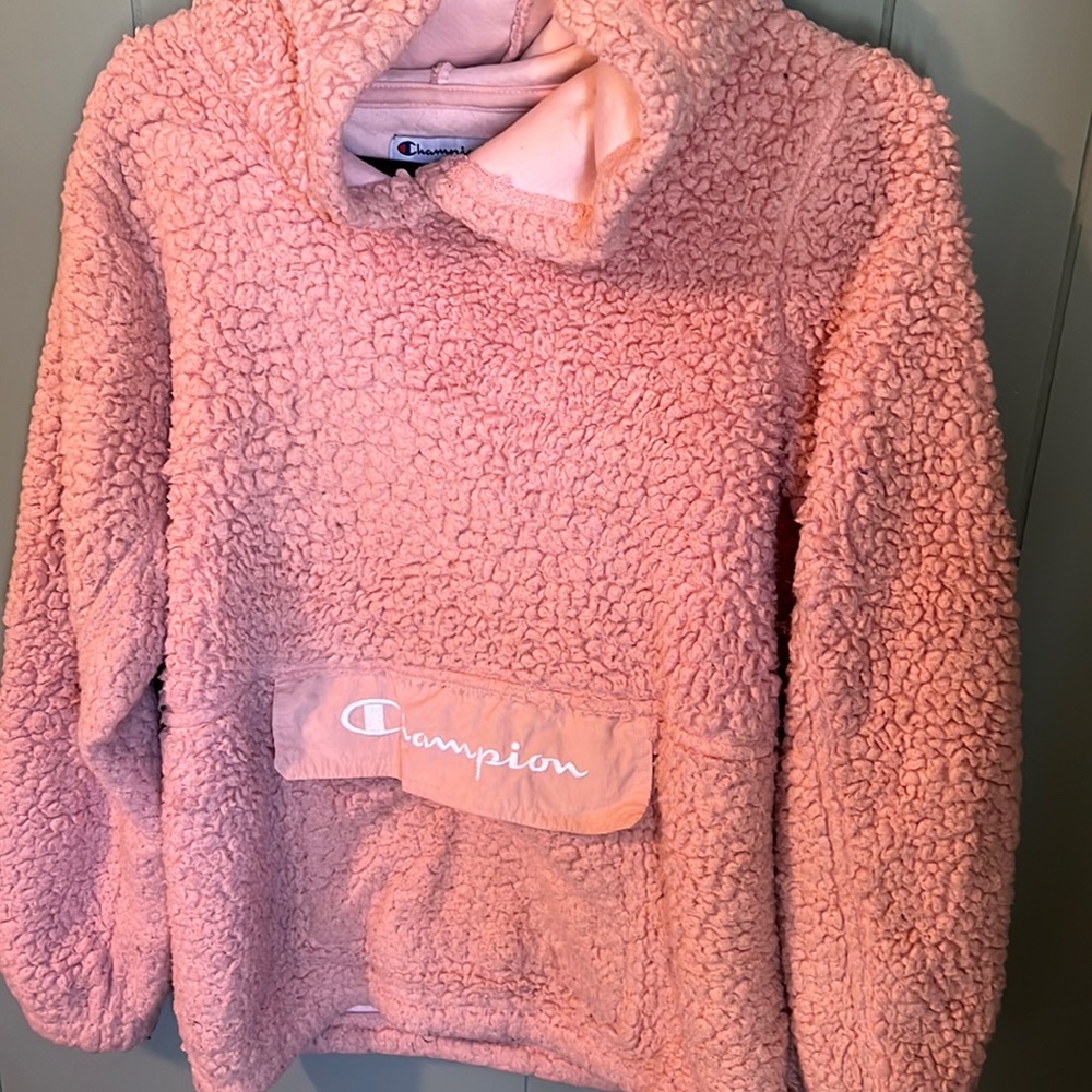 Champion teddy hoodie.